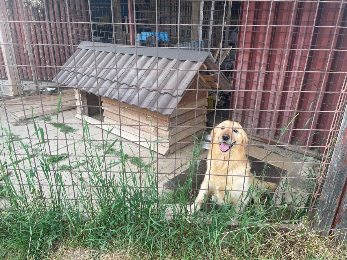 Privat Luna Ľubeľa Exterior foto