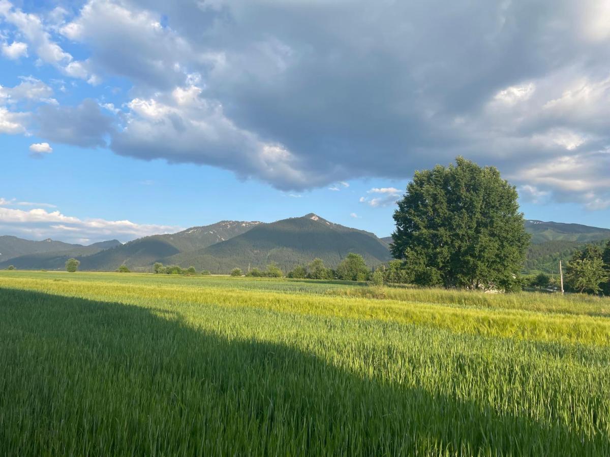 Privat Luna Ľubeľa Exterior foto